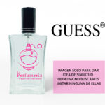 frasco_guess