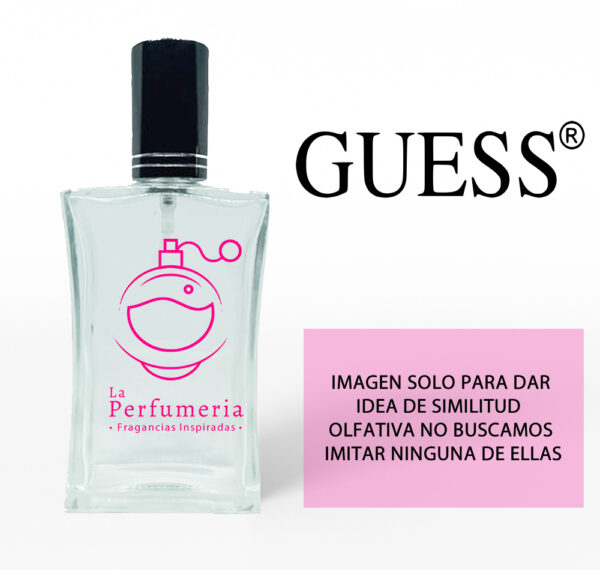 frasco_guess