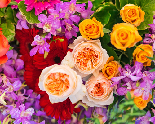 flores